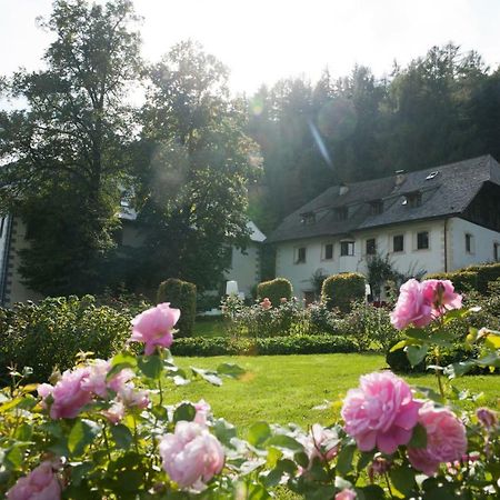 Bed and Breakfast Penzl 9 à Longostagno Extérieur photo